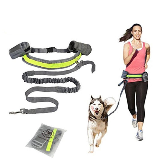 Adjustable Hands Free Dog Leash