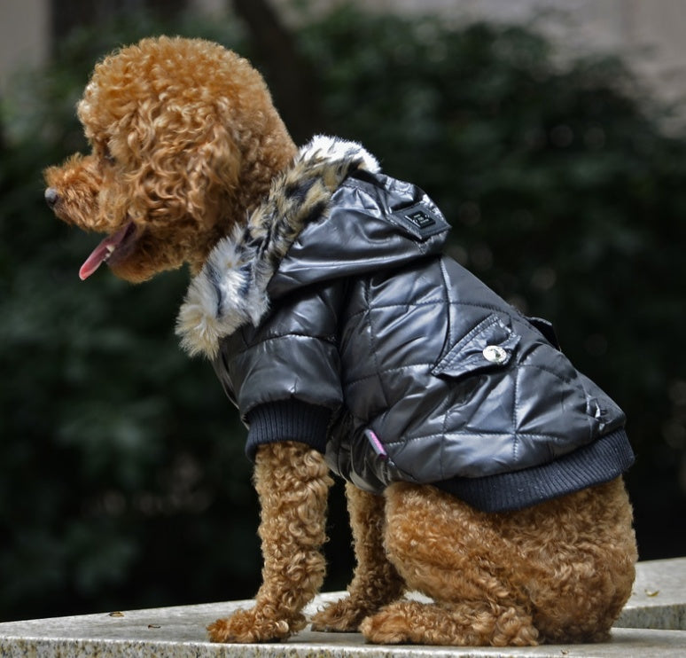 Autumn & Winter Dog Coat - Korean Style and Fur Collar