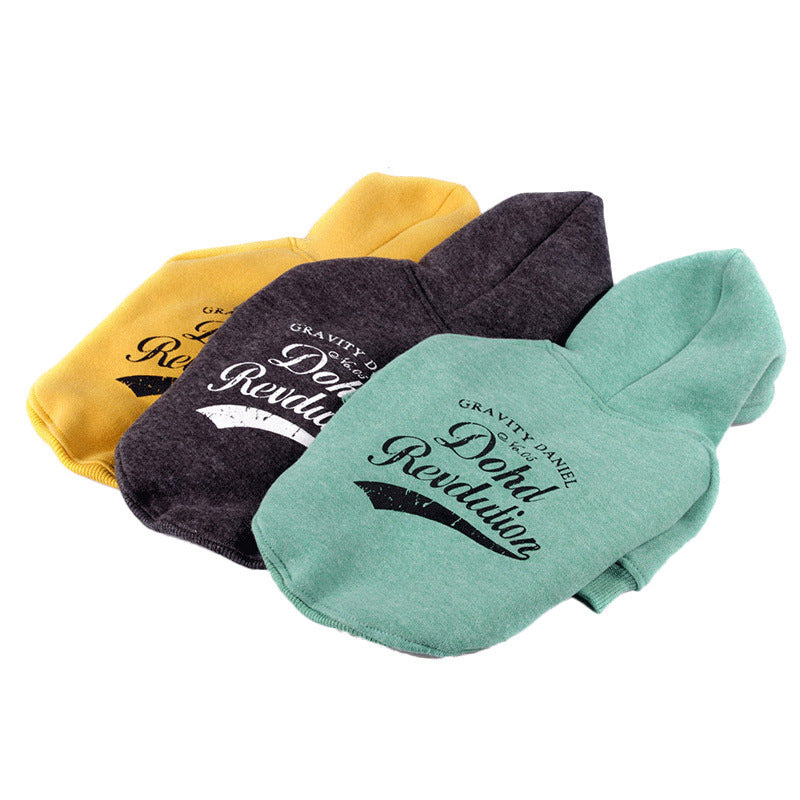 Casual Cotton Sweater