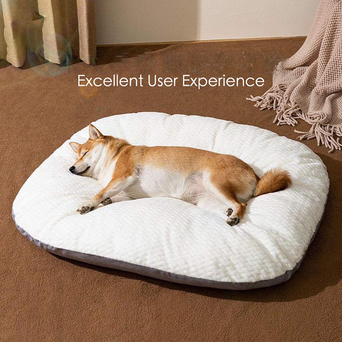 Oval Shape Cushion for Large Dogs