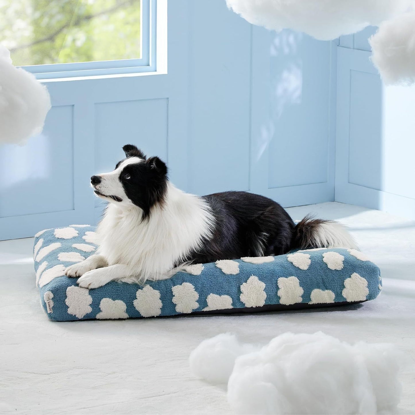 Large Dog Bed with Thick Shredded Foam