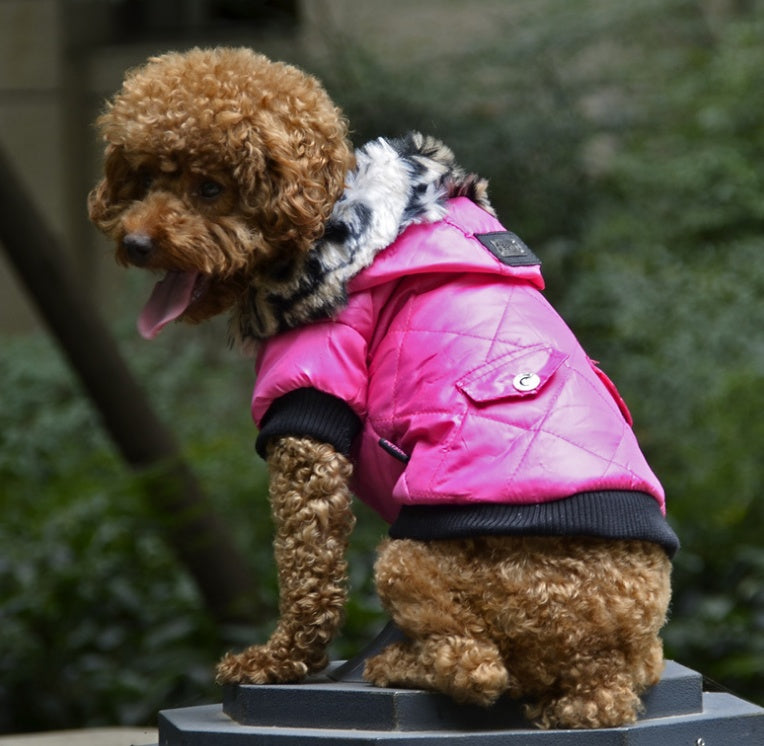 Autumn & Winter Dog Coat - Korean Style and Fur Collar