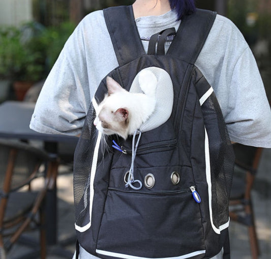 Pet Outing Backpack