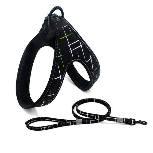 Colorful Dog Leash