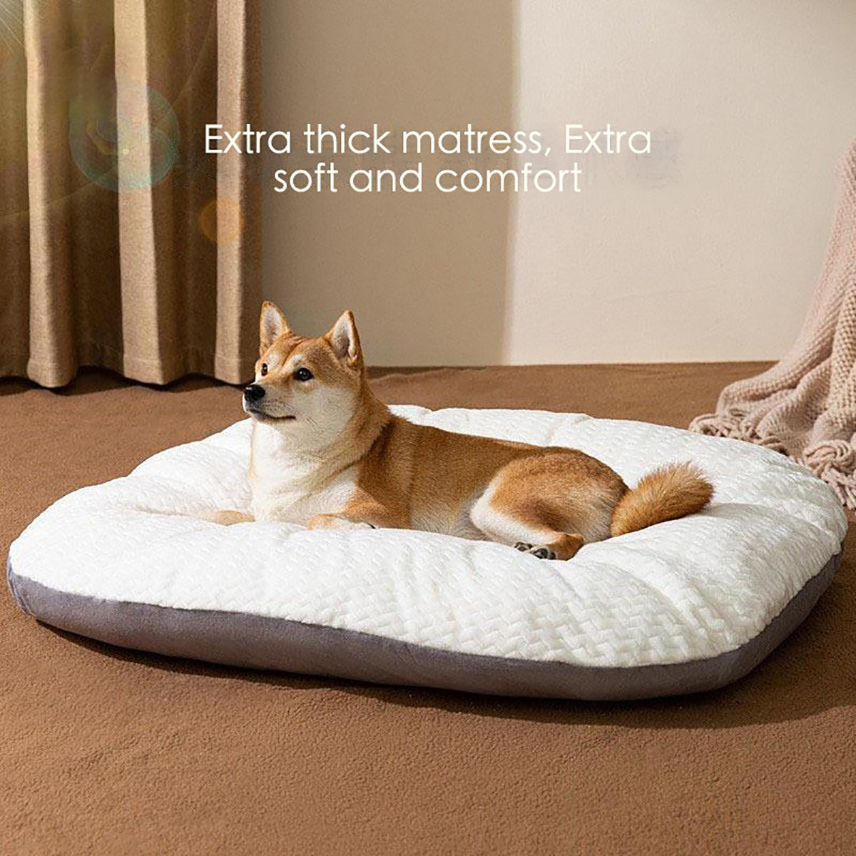 Oval Shape Cushion for Large Dogs