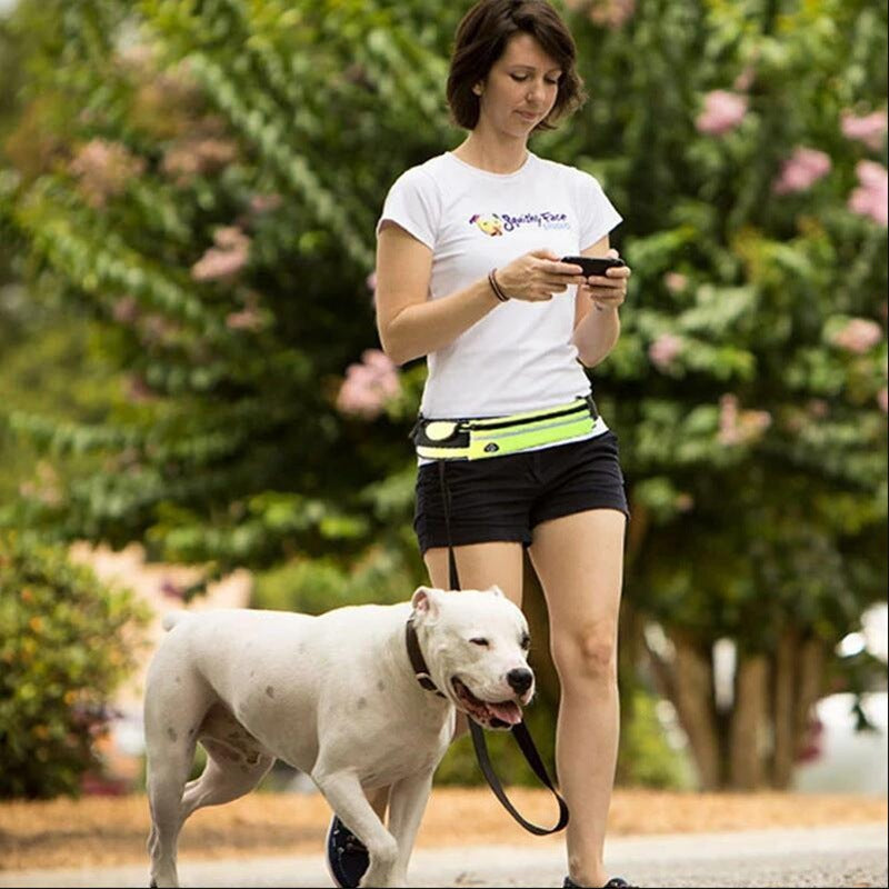Hands-Free Dog Leash for Large Dogs up to 180lbs
