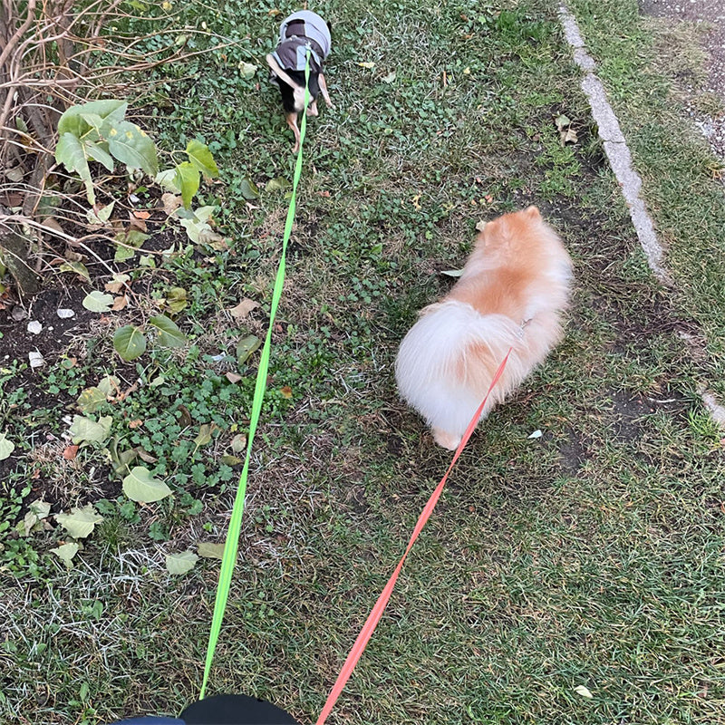 Retractable Reflective Dual Dog Leash