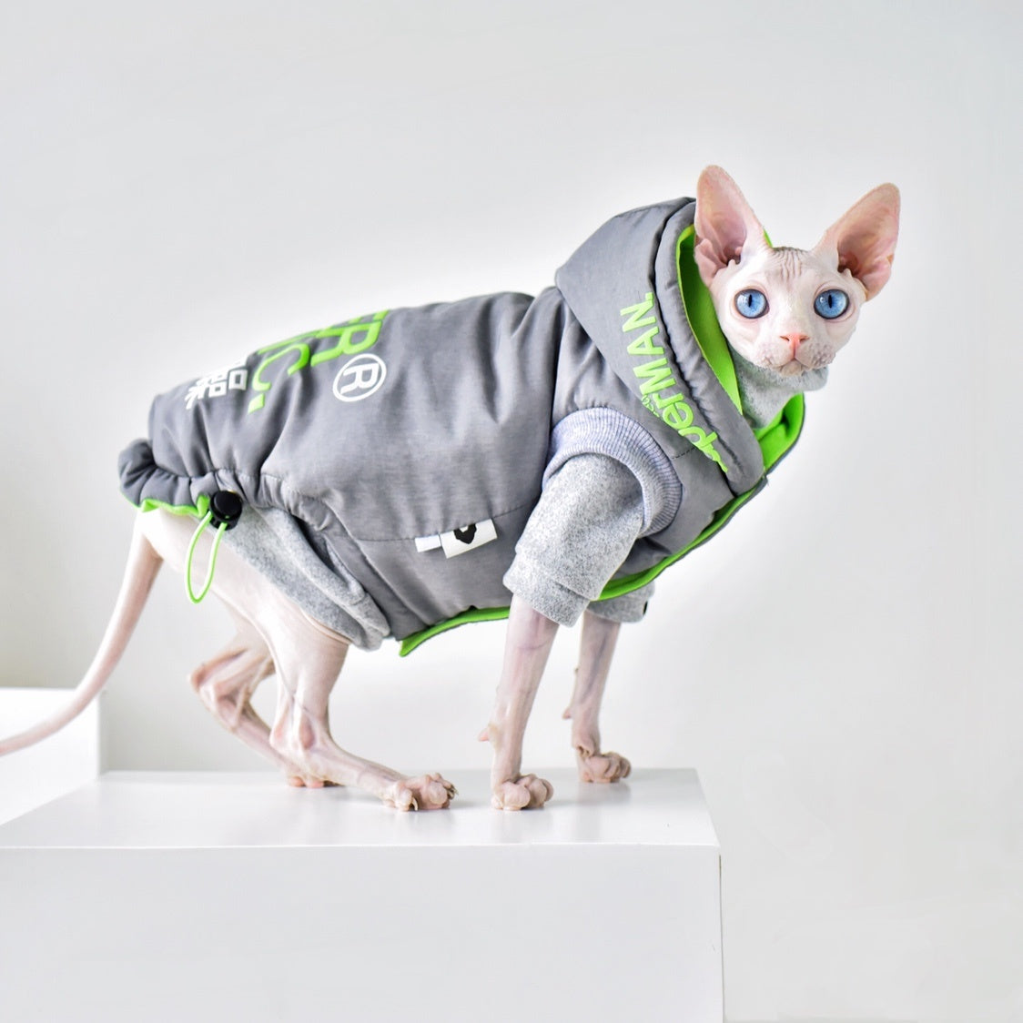 Winter Coat for Hairless Cats