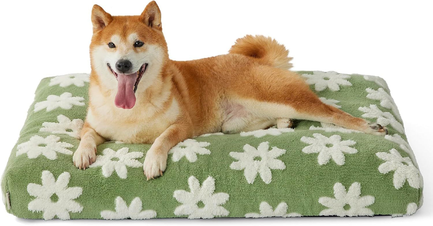 Large Dog Bed with Thick Shredded Foam
