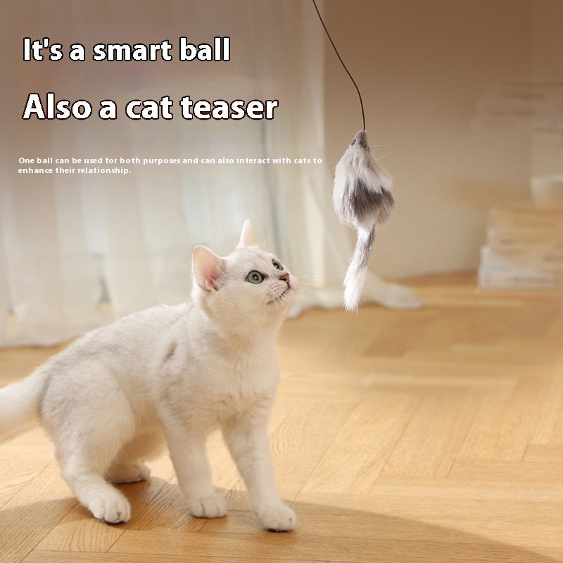 Interactive Electric Mouse Teaser Ball for Cats