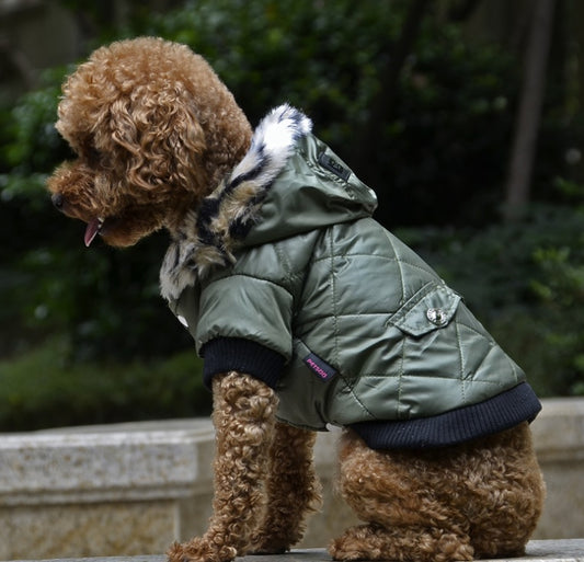 Autumn & Winter Dog Coat - Korean Style and Fur Collar