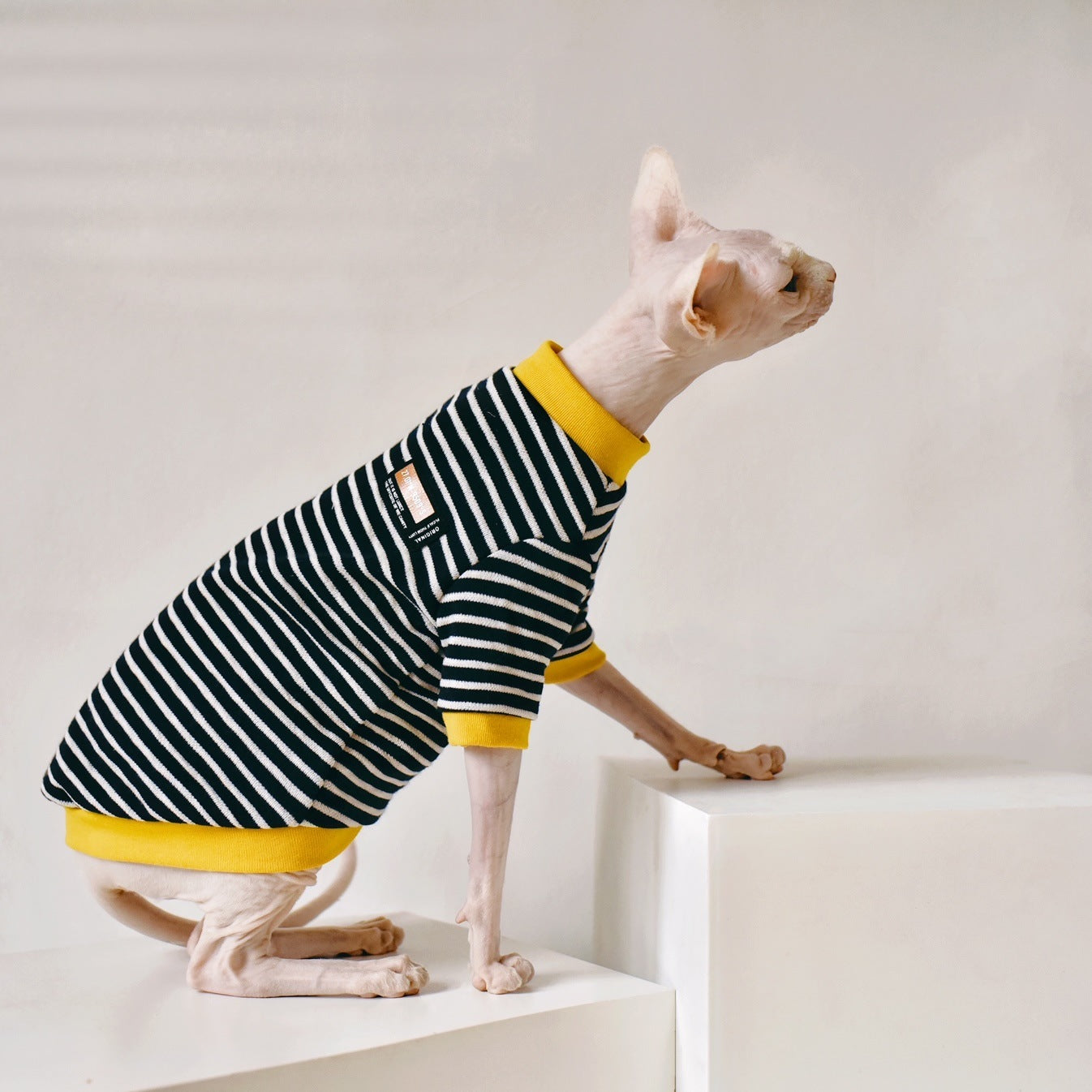 Soft Cotton Outfit for Sphynx Cats