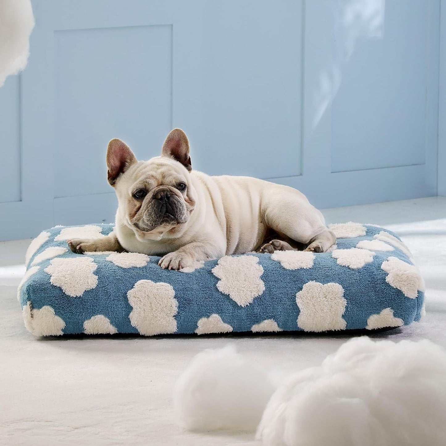 Large Dog Bed with Thick Shredded Foam