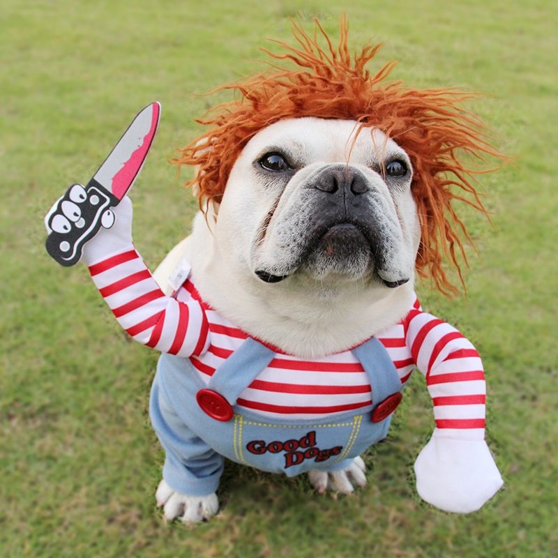 Funny Halloween Dog Costume