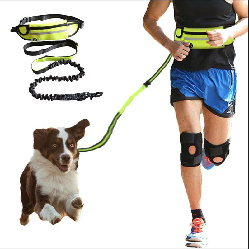 Hands-Free Dog Leash for Large Dogs up to 180lbs