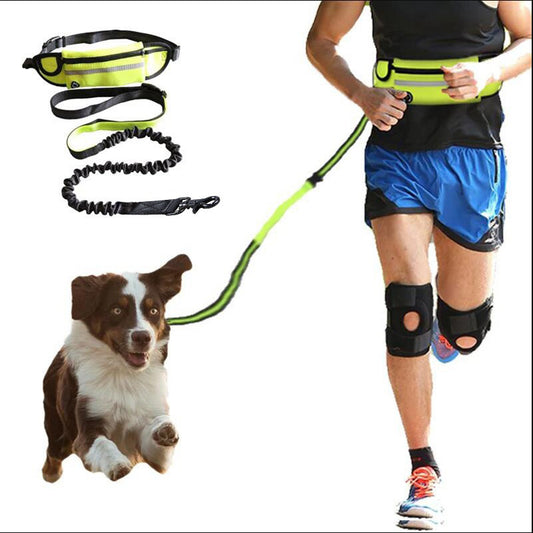 Hands-Free Dog Leash for Large Dogs up to 180lbs