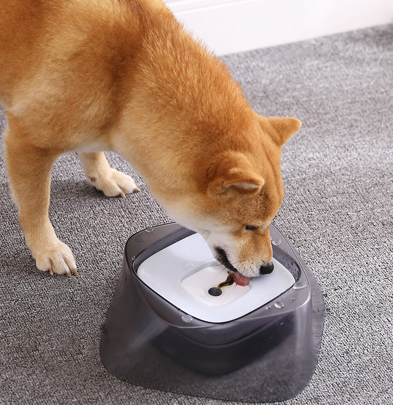 Floating Pet Bowl for Dogs & Cats