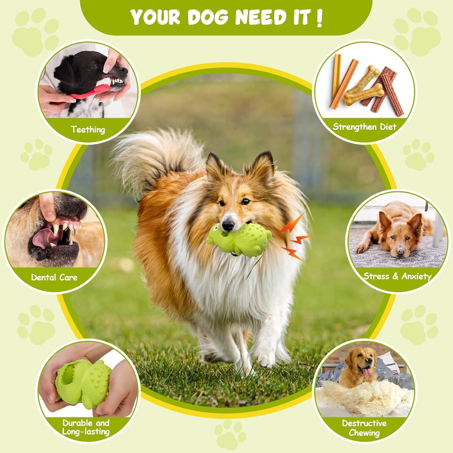 Chew Toy – Durable Natural Rubber Interactive Squeaky Toy