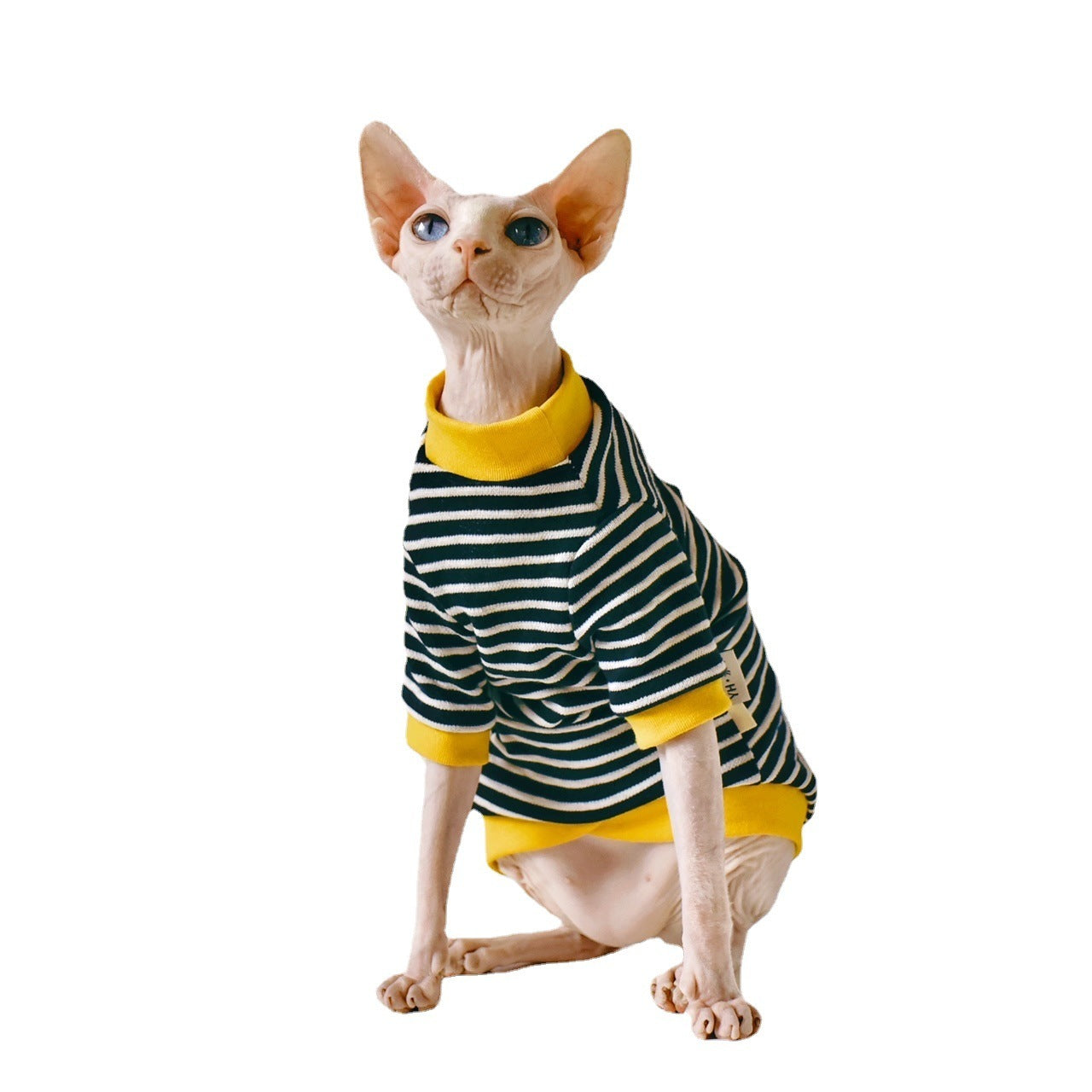 Soft Cotton Outfit for Sphynx Cats