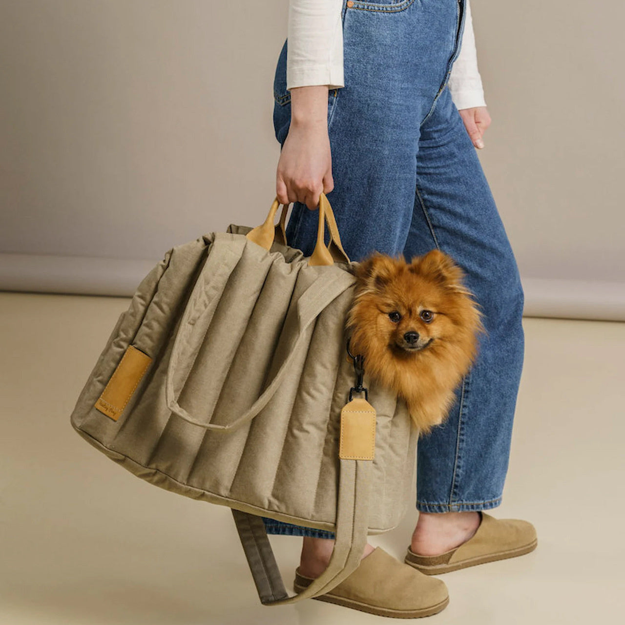Stylish Waterproof Pet Carrier Handbag