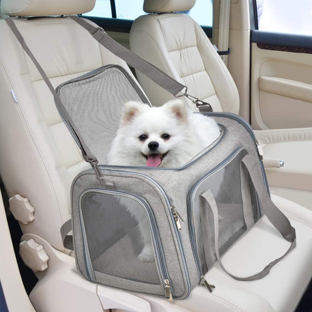 Soft-Sided Collapsible Dog & Cat Carrier