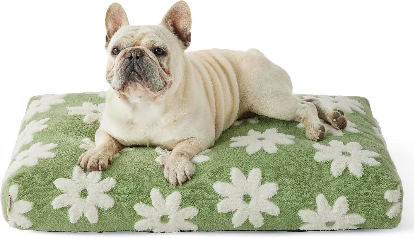 Large Dog Bed with Thick Shredded Foam