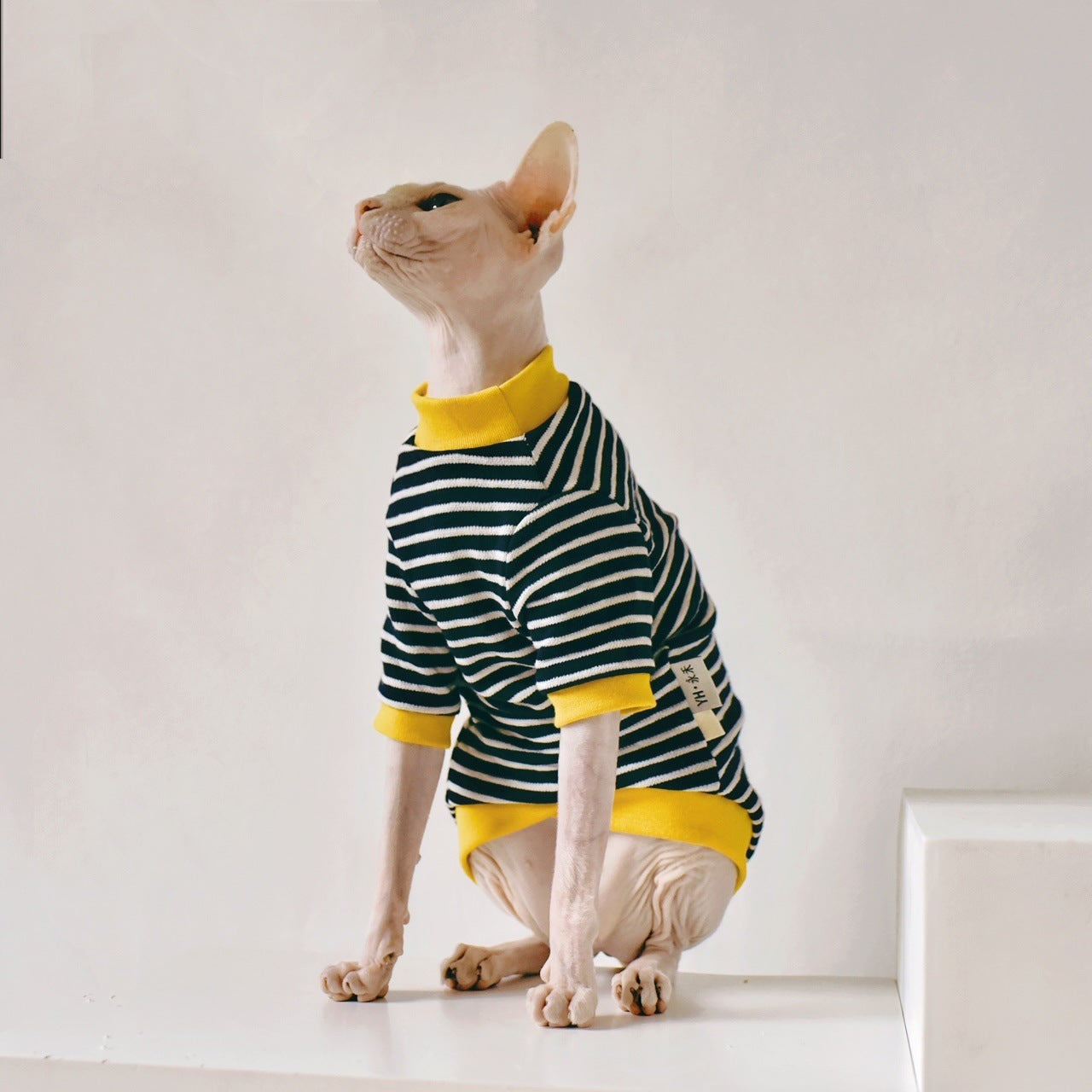 Soft Cotton Outfit for Sphynx Cats