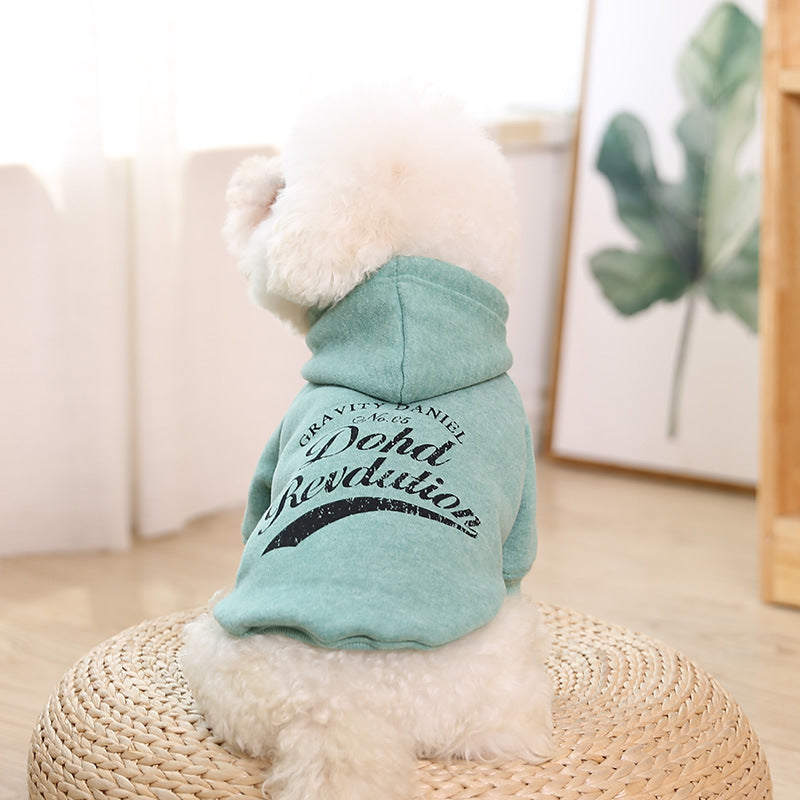 Casual Cotton Sweater