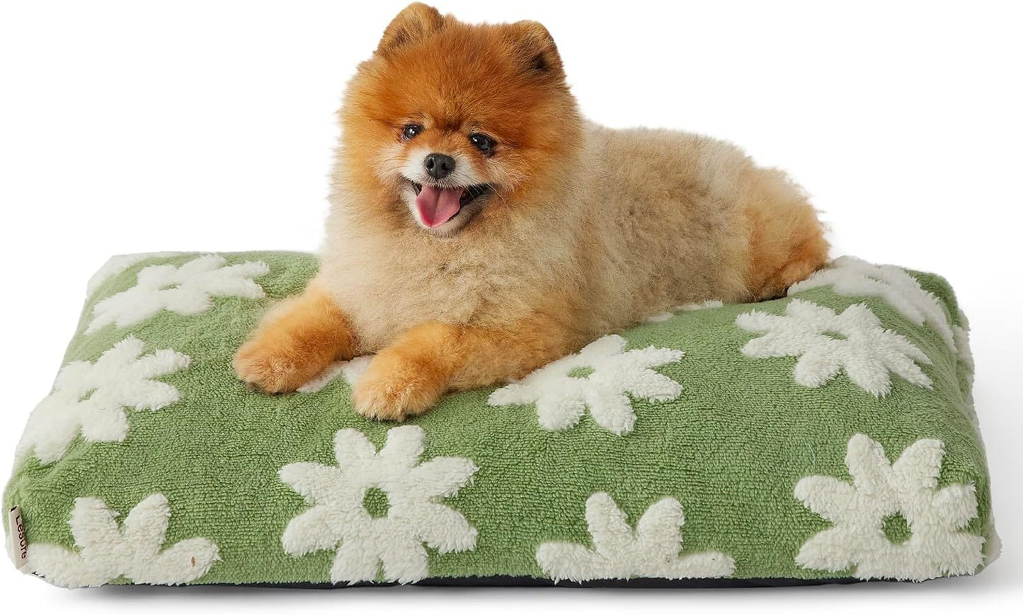 Large Dog Bed with Thick Shredded Foam