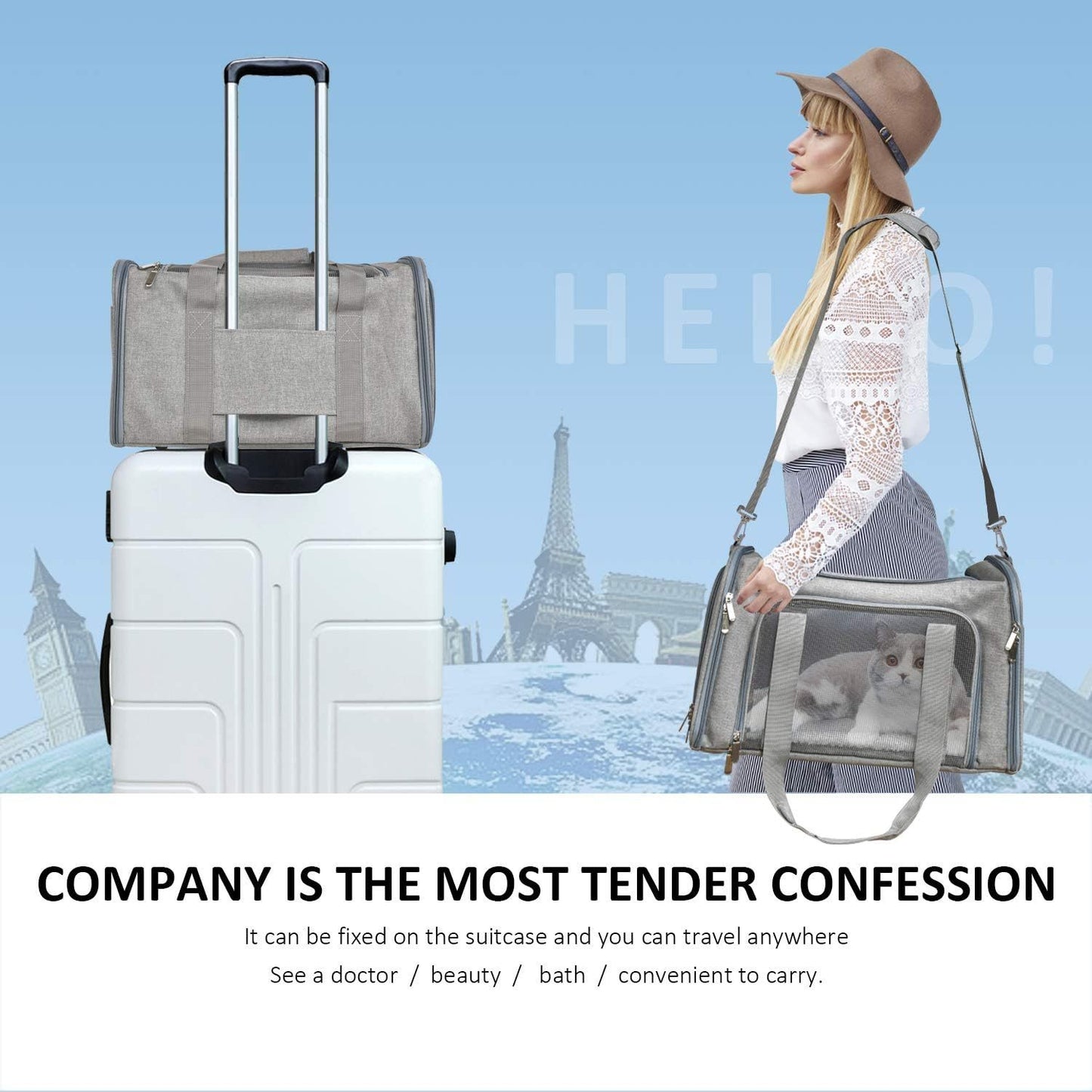 Soft-Sided Collapsible Dog & Cat Carrier