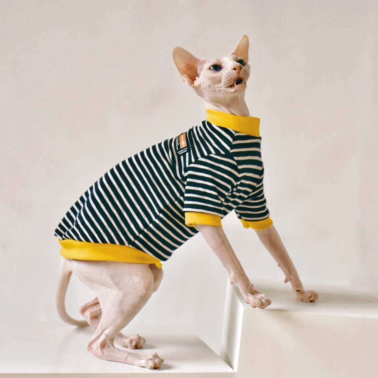 Soft Cotton Outfit for Sphynx Cats