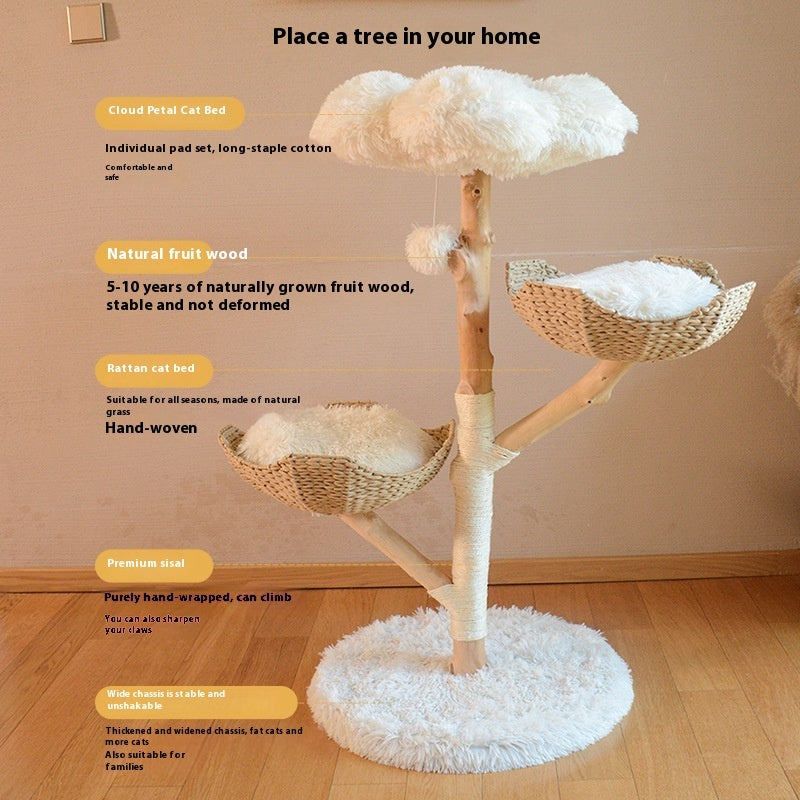 Solid Wood Cat Tree from Natural Fruit Tree