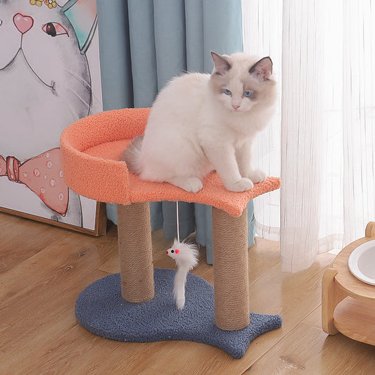 Cat Climbing Tree with One Tongtian Column