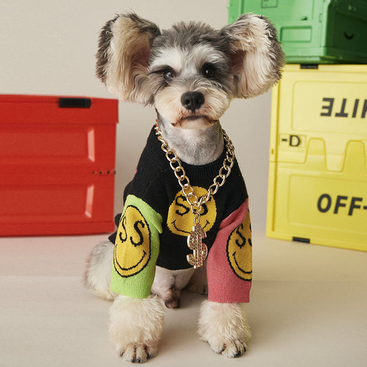 Dog Gold Chain Collar with Tag