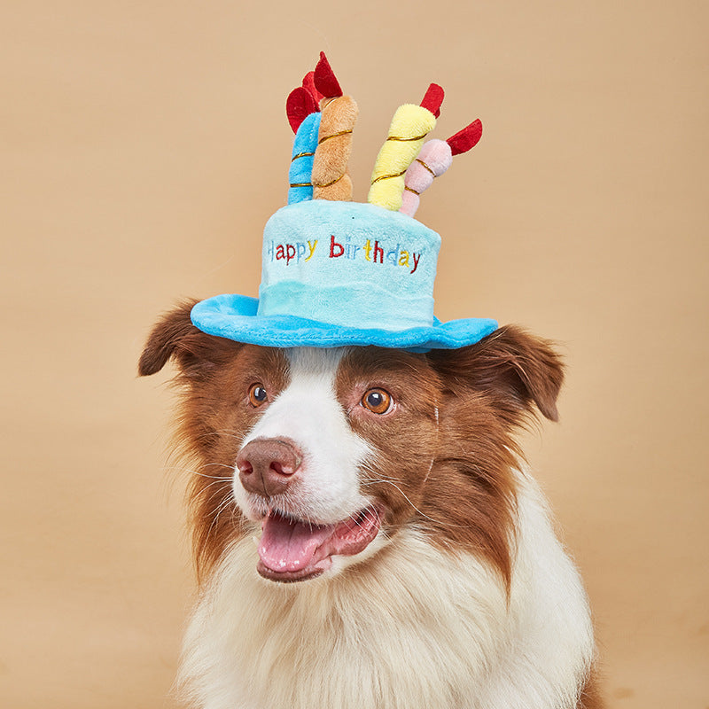 Cute Dog Birthday Hat