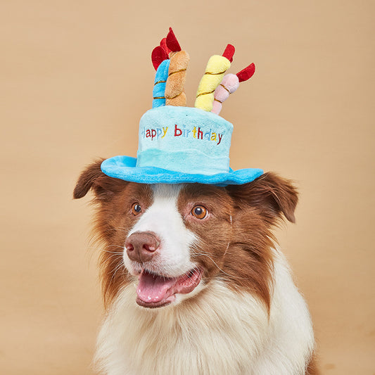 Cute Dog Birthday Hat