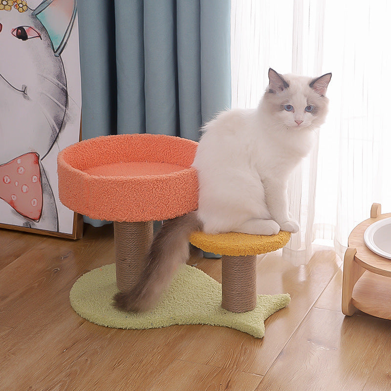 Cat Climbing Tree with One Tongtian Column