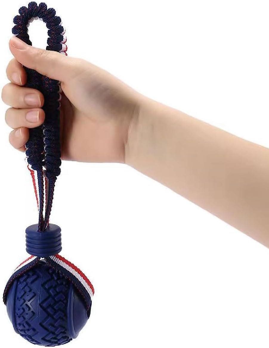 Dog Ball with Rope