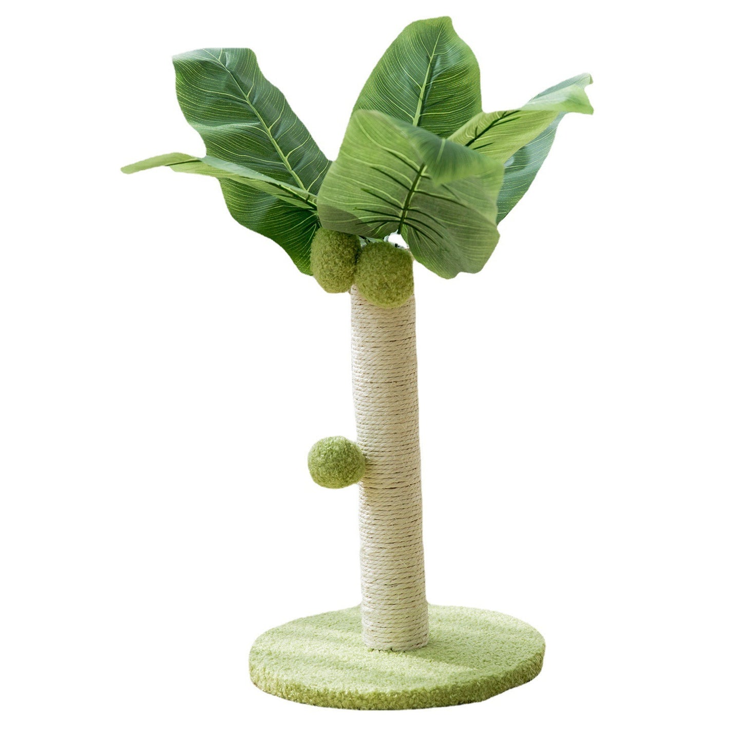 Small Coconut Tree Cat Climbing