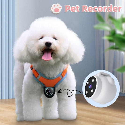 Pet Action Camera Collar