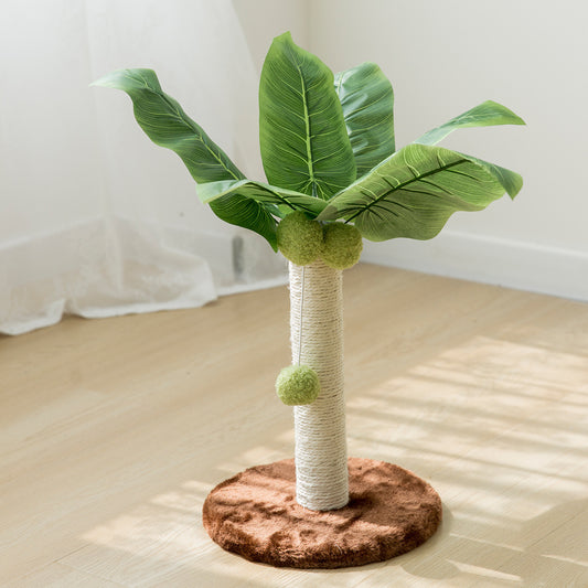 Small Coconut Tree Cat Climbing