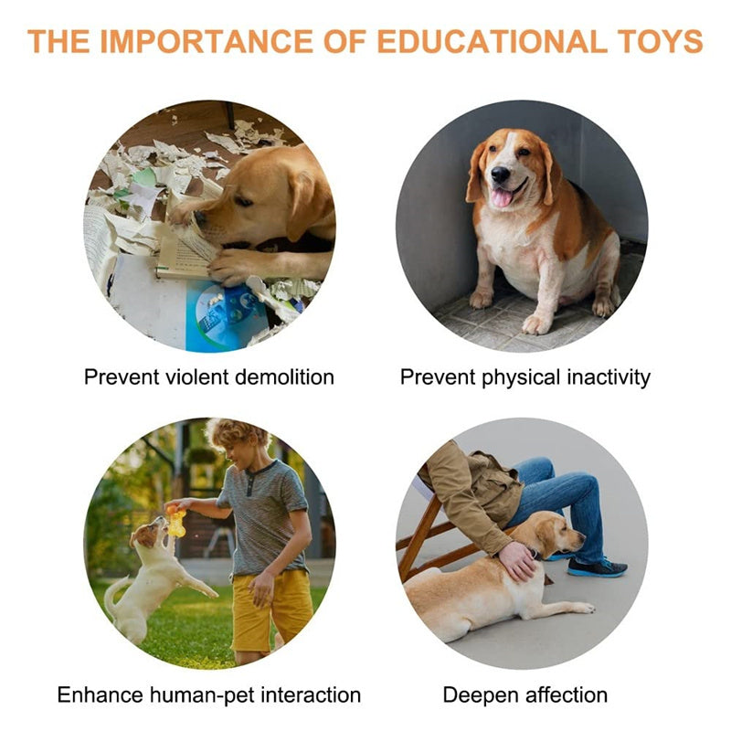 Pet Talking Button Toy – 4 Colors, Recordable & Interactive