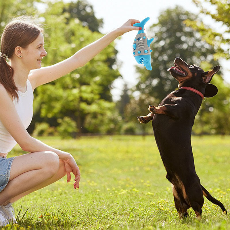 Shark Tooth Dog Chew Toy