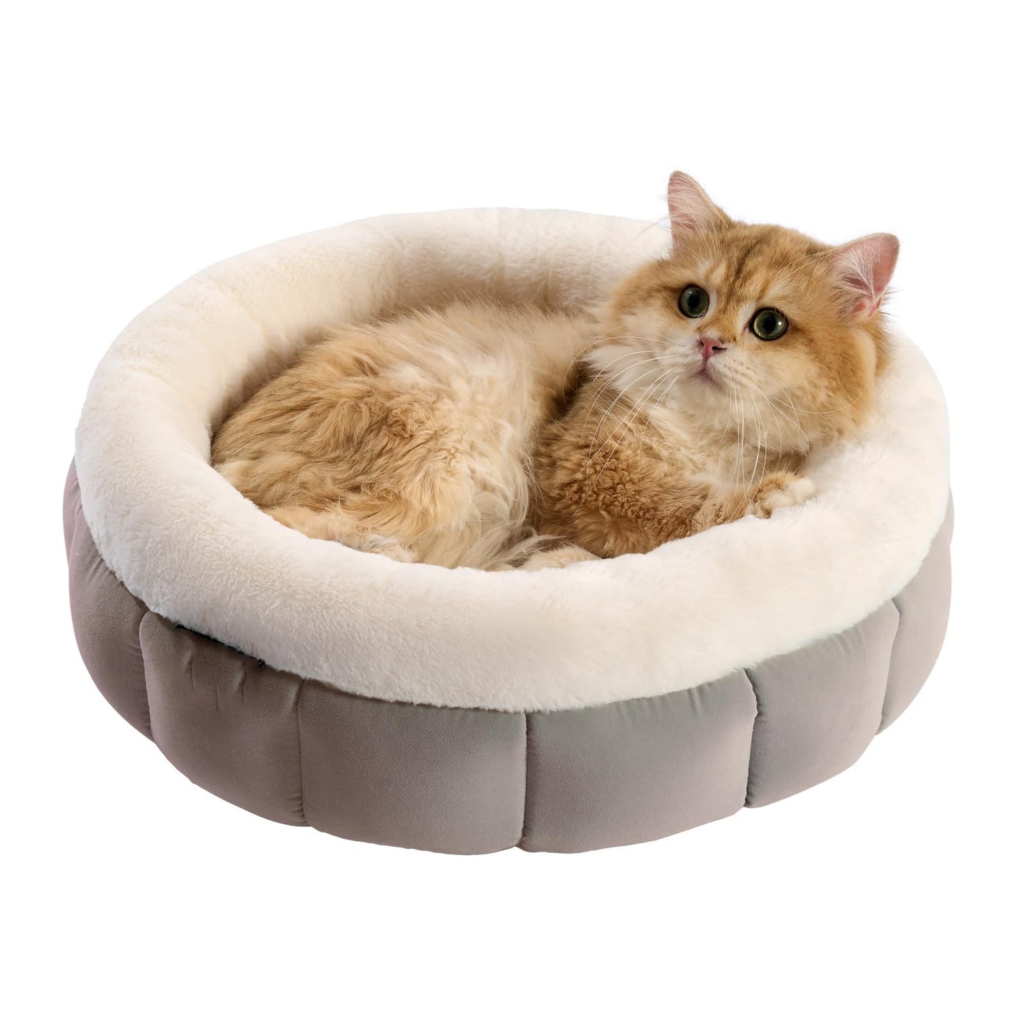 Donut Dog Bed for Small Cat